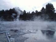 Rotorua - Hells Gate (Mud Pools)